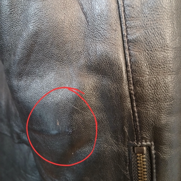 Danier Lambskin Jacket - Picture 11 of 13